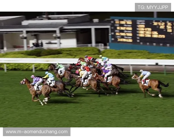 澳门赛马网站用户评论，真实用户对澳门赛马官网体验与服务质量的评价与反馈