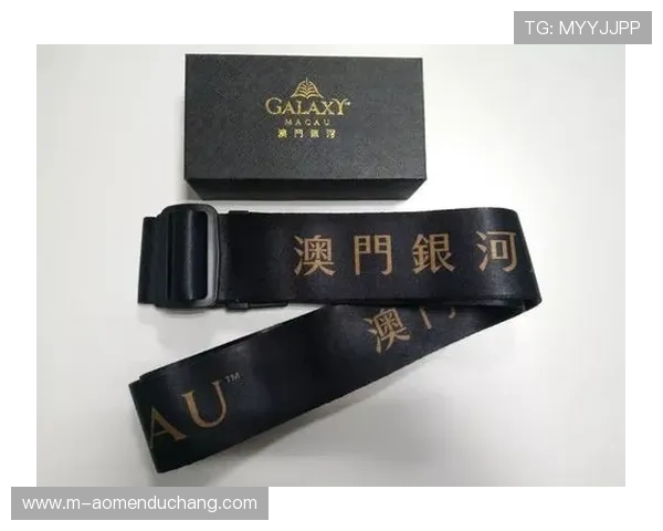 澳门银河会员权益全面解析如何利用会员身份提升游戏体验与福利