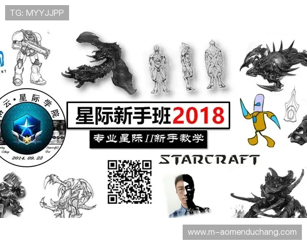 星际体育助力青少年健康成长的多元体育娱乐与教育结合方案