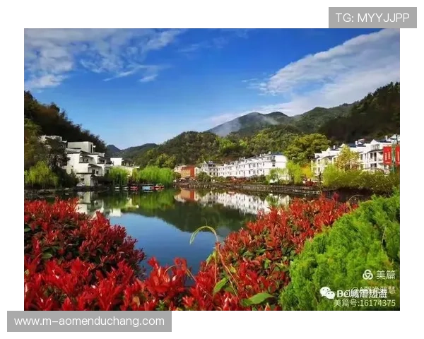 海洋之神官网真人游戏玩家社区交流与经验分享平台 海洋之神官网真人游戏玩家社区交流与经验分享平台