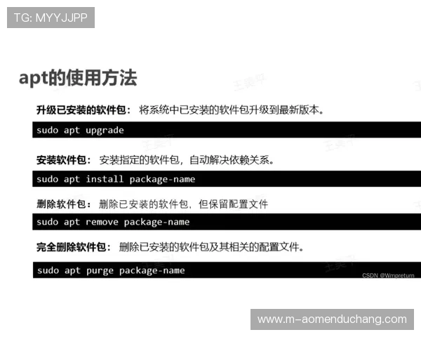 掌握PA视讯倍投的关键技巧快速提升投注成功率的方法