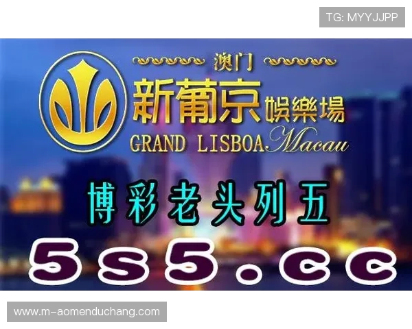 新澳门网址官方网站全新上线，全面介绍澳门最新官方网址入口推荐