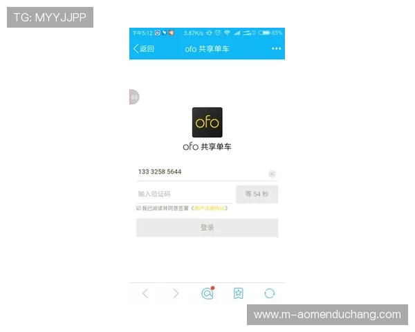 欧宝真人注册无法完成的原因有哪些？详细解析与实用技巧分享