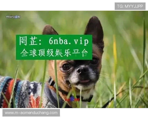 汇聚全球优质真人娱乐资源的ag真人手机平台介绍