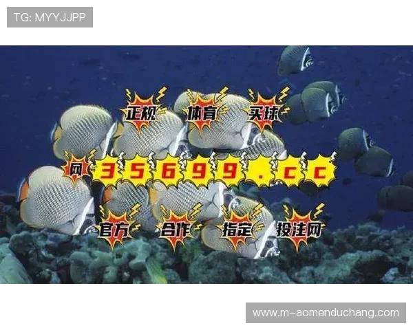 用户评价最佳的bg视讯平台排名与选择指南帮助玩家轻松入门