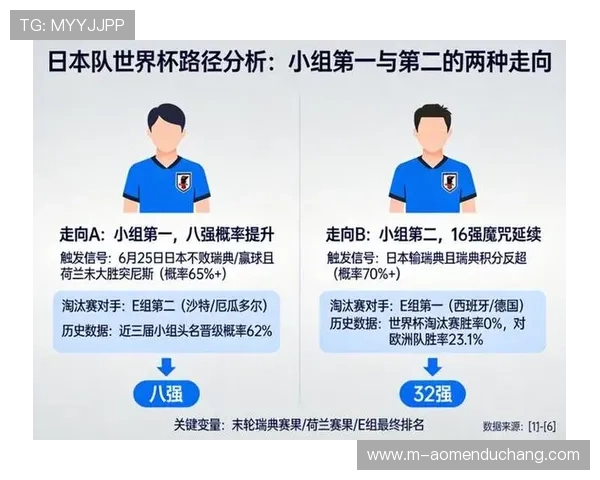 世界杯荷兰队与日本队最新替补名单全面解析助力球迷了解球队阵容调整情况